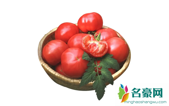 普罗旺斯西红柿是转基因食品吗2