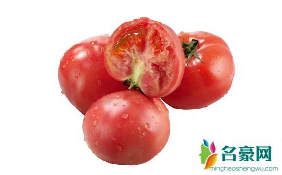 普罗旺斯西红柿是转基因食品吗1
