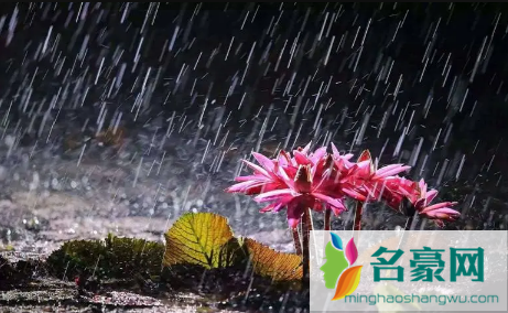2022杭州有梅雨天气吗2