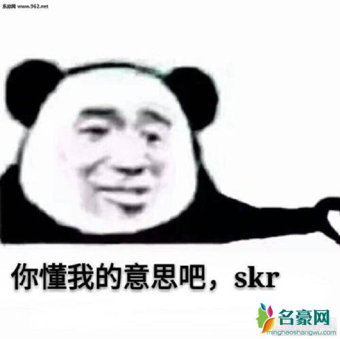 skr什么意思