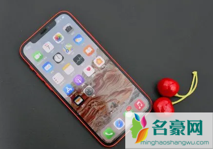 88会员618大额消费券可以买iPhone13吗1