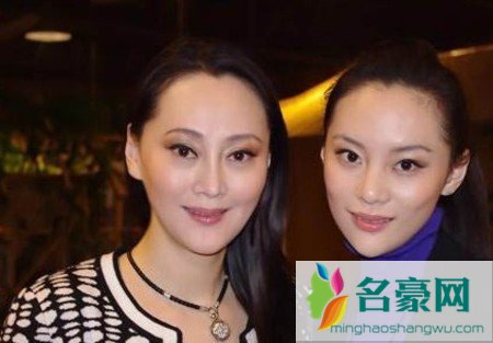 宋佳女儿张楚楚身世 宋佳携女儿张楚楚图片