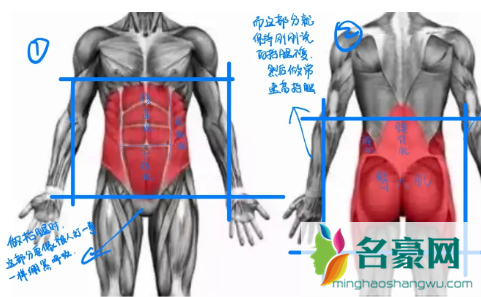 日常生活中需要收紧核心吗2