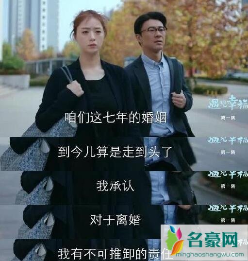 遇见幸福甄开放和宋明远为什么离婚