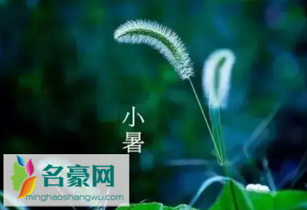 小暑节气下雨好还是出太阳好3