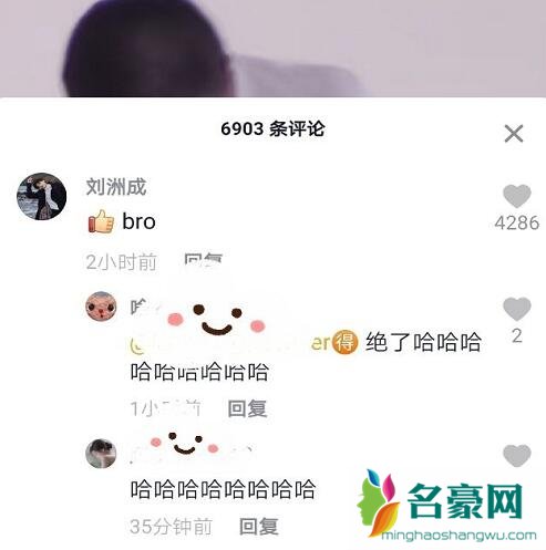 刘洲成和马苏什么关系