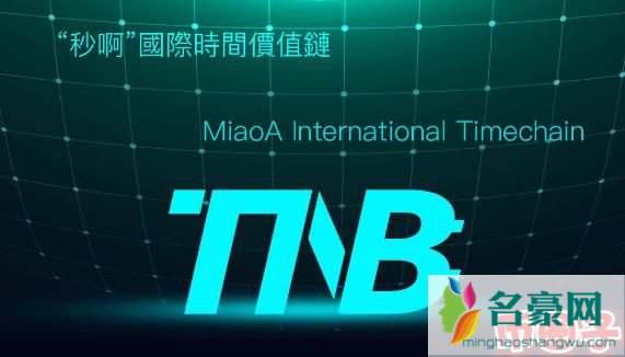 tnb币交易平台，tnb币官网介绍