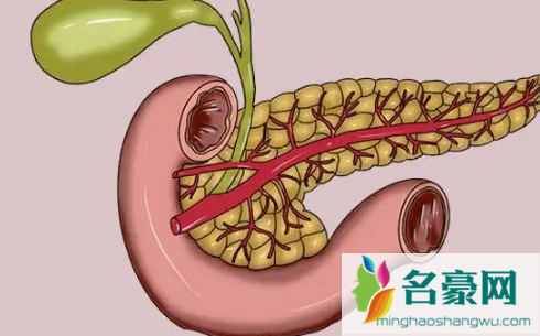 胰头肿瘤2一3cm属于大吗2