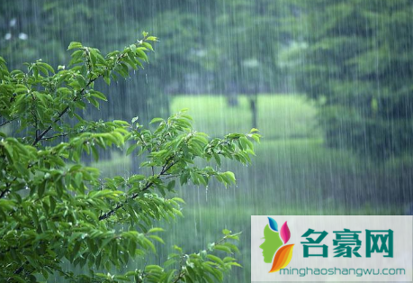 2023年一年的雨水怎么样3