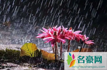 2023年3月份是梅雨季节吗2