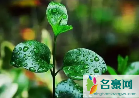 2023长沙梅雨季节是哪几个月3